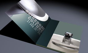 企业网站建设与电子商务策划的融合之道 以企业形象设计与策划为基石